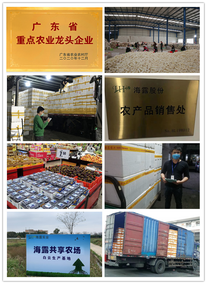 F88星宝(中国集团)官方网站