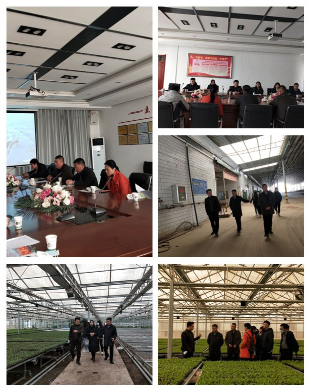 F88星宝(中国集团)官方网站