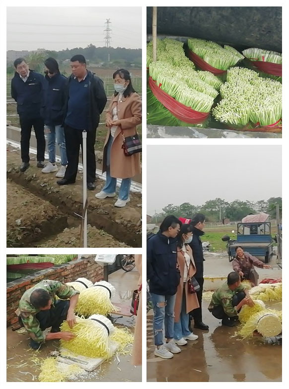 F88星宝(中国集团)官方网站