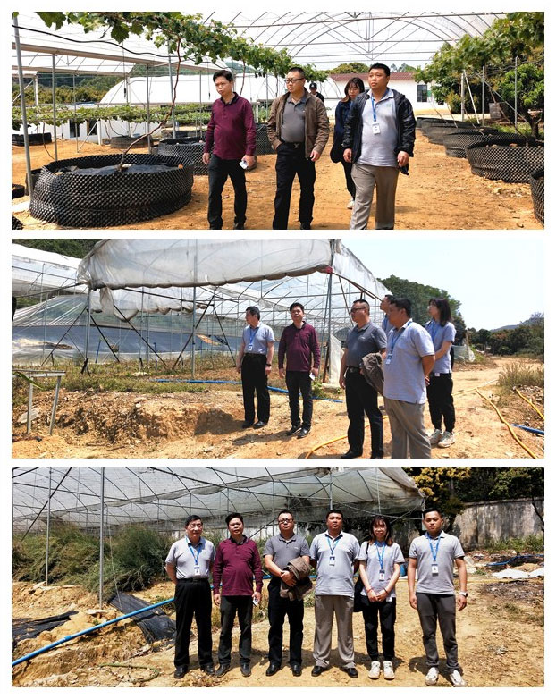 F88星宝(中国集团)官方网站