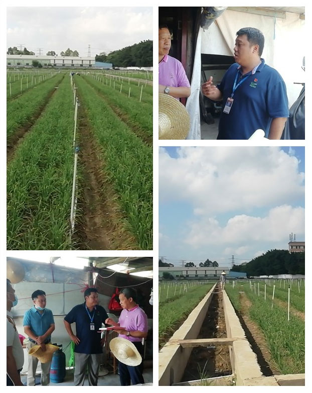 F88星宝(中国集团)官方网站