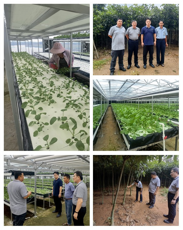 F88星宝(中国集团)官方网站