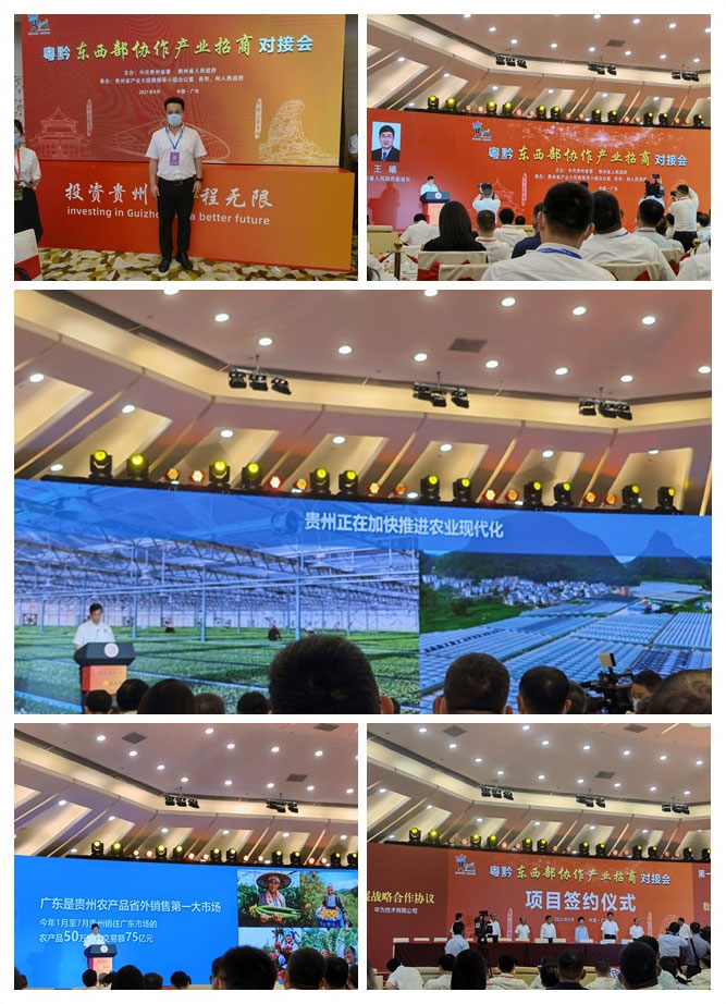 F88星宝(中国集团)官方网站