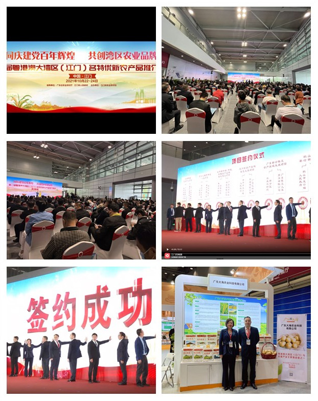 F88星宝(中国集团)官方网站