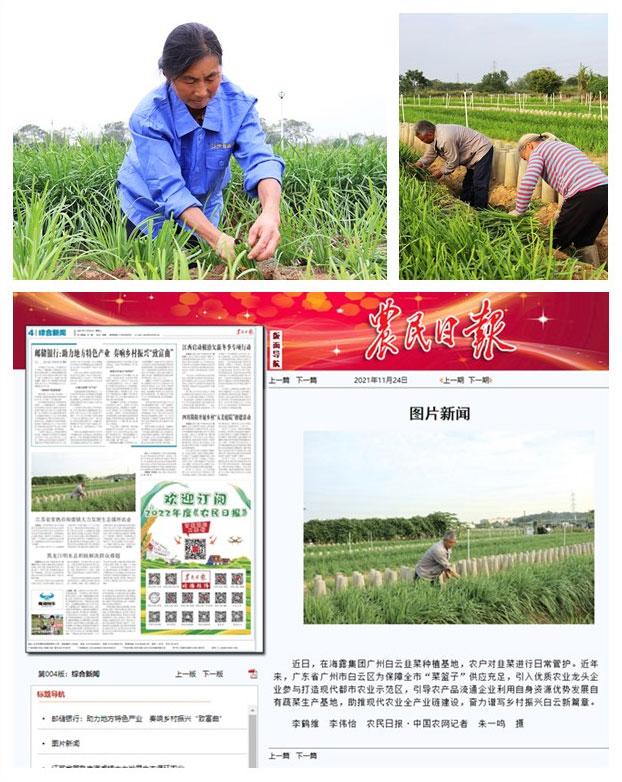 F88星宝(中国集团)官方网站