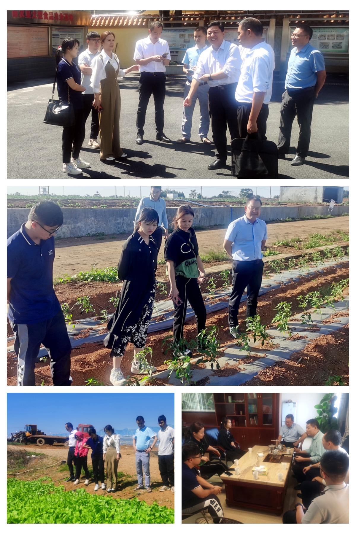 F88星宝(中国集团)官方网站