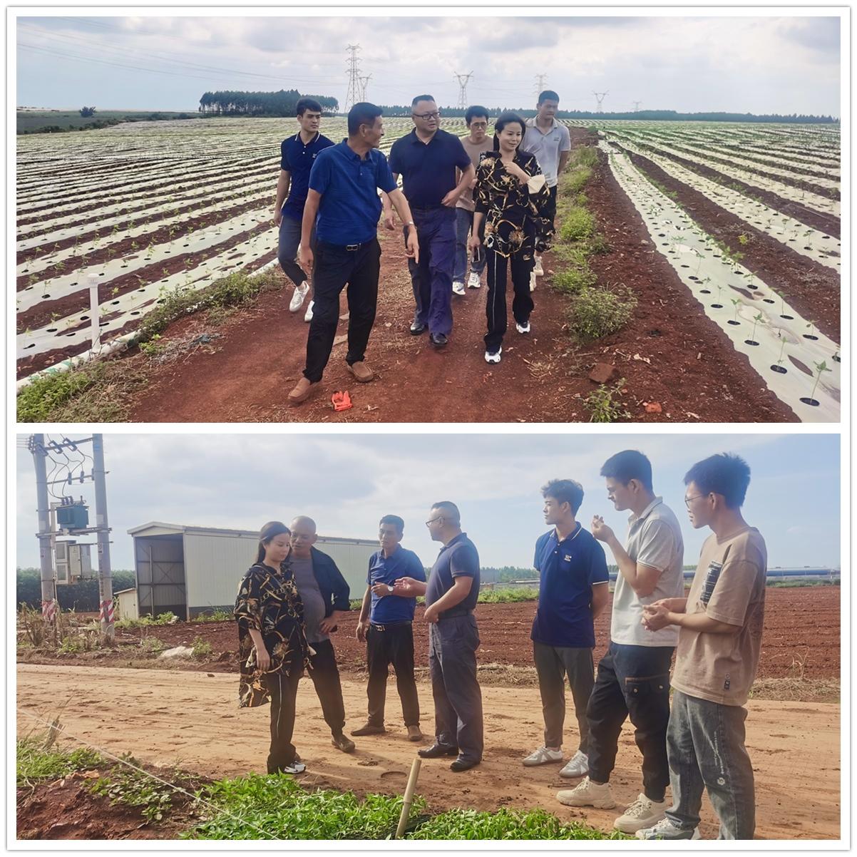 F88星宝(中国集团)官方网站