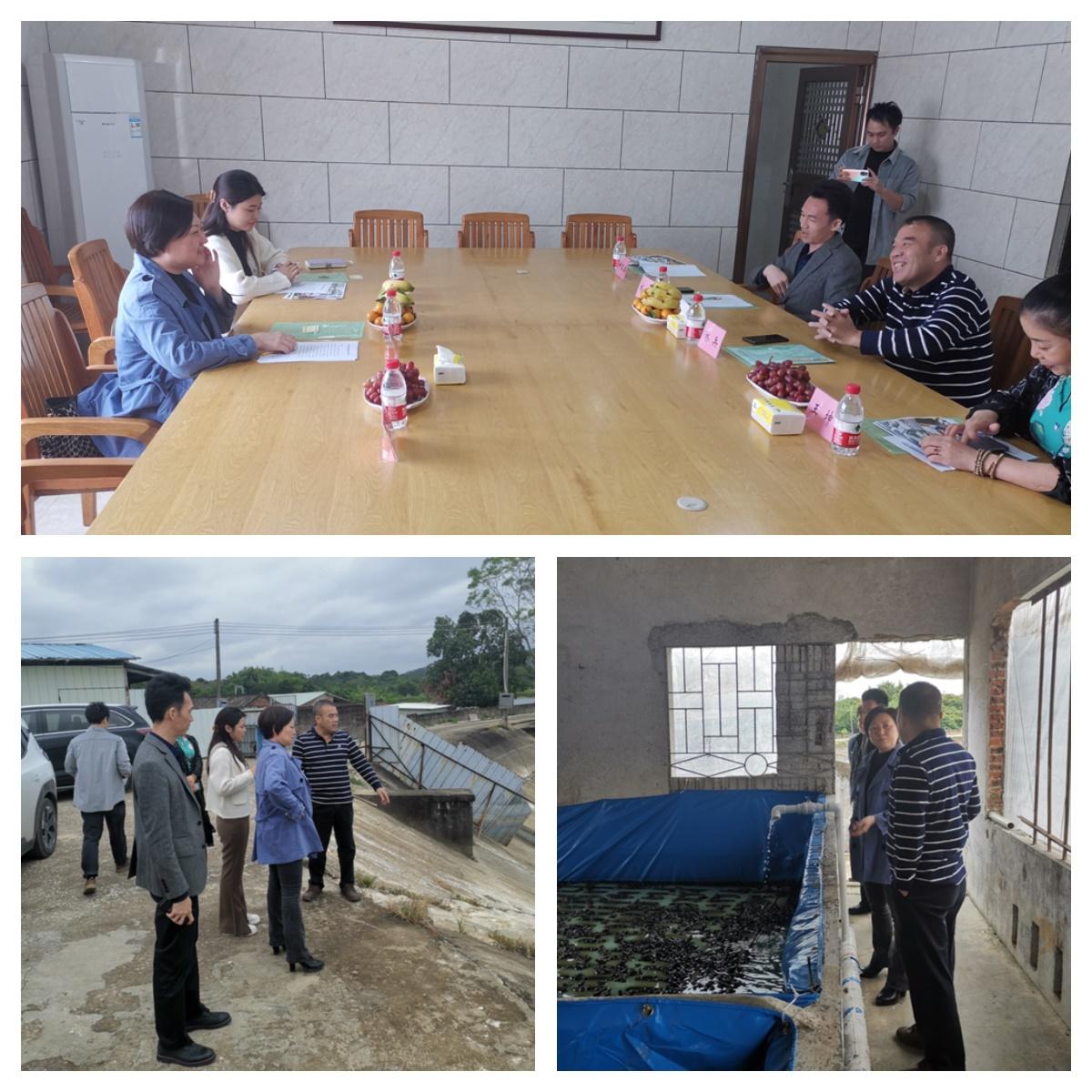 F88星宝(中国集团)官方网站