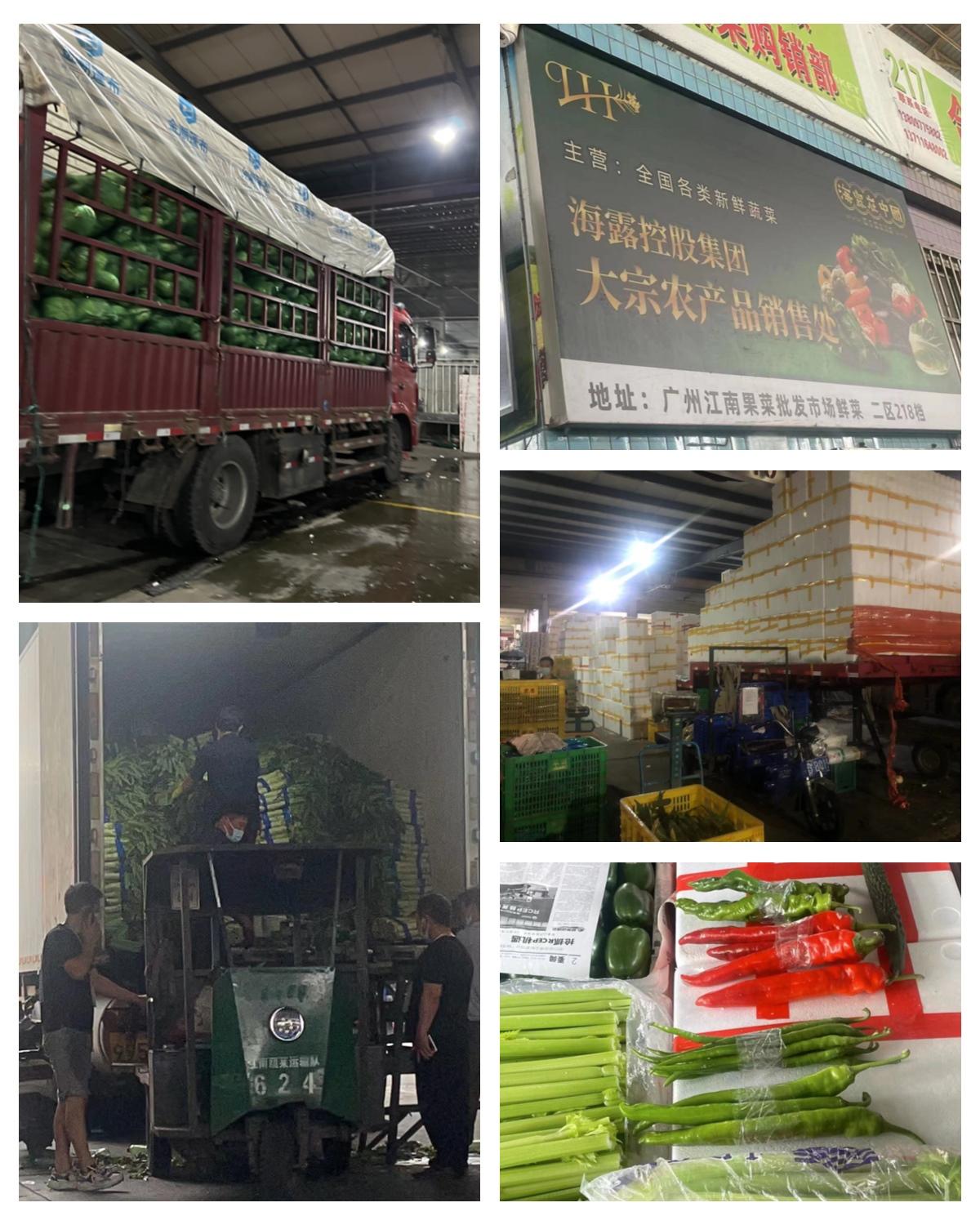 F88星宝(中国集团)官方网站