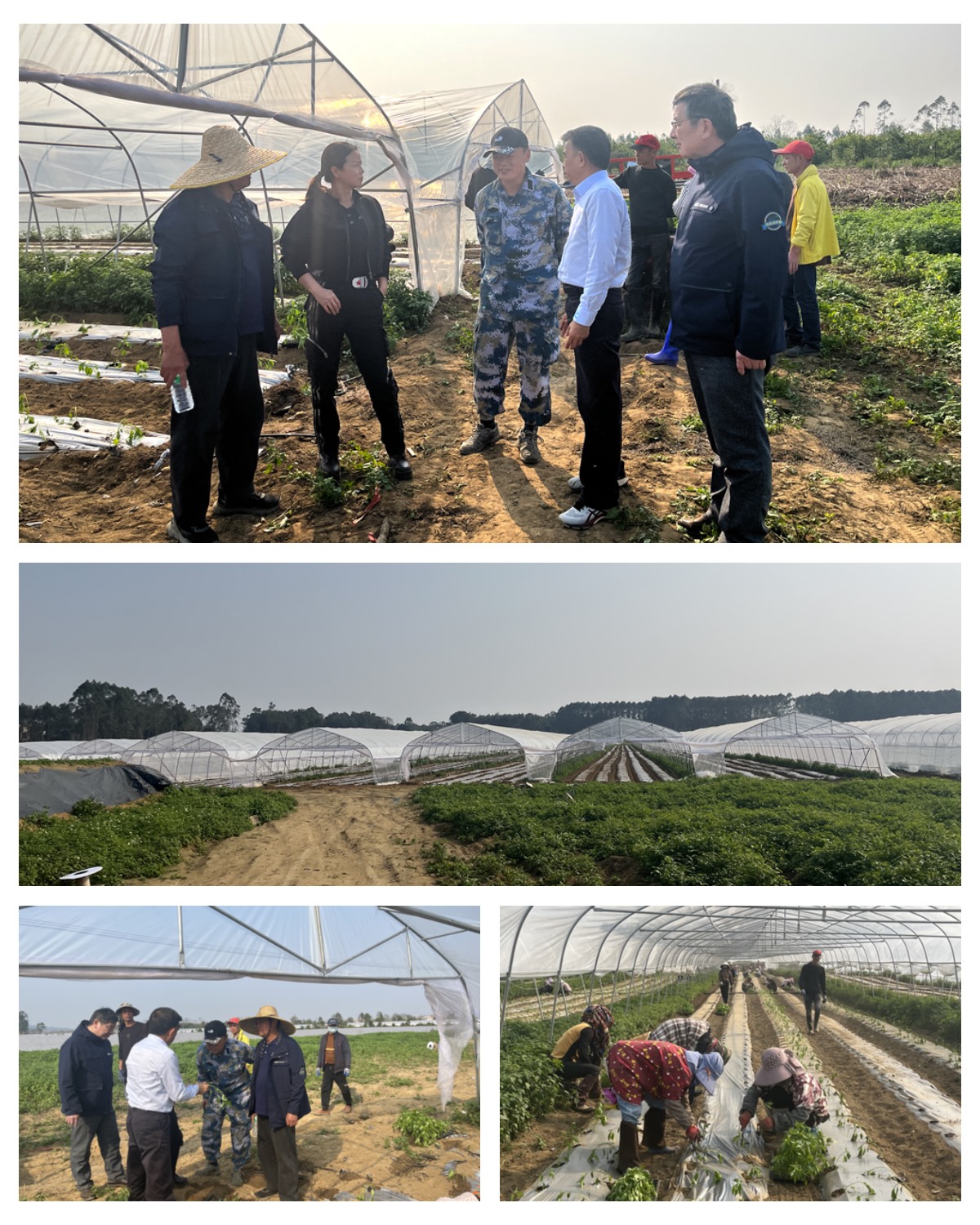 F88星宝(中国集团)官方网站