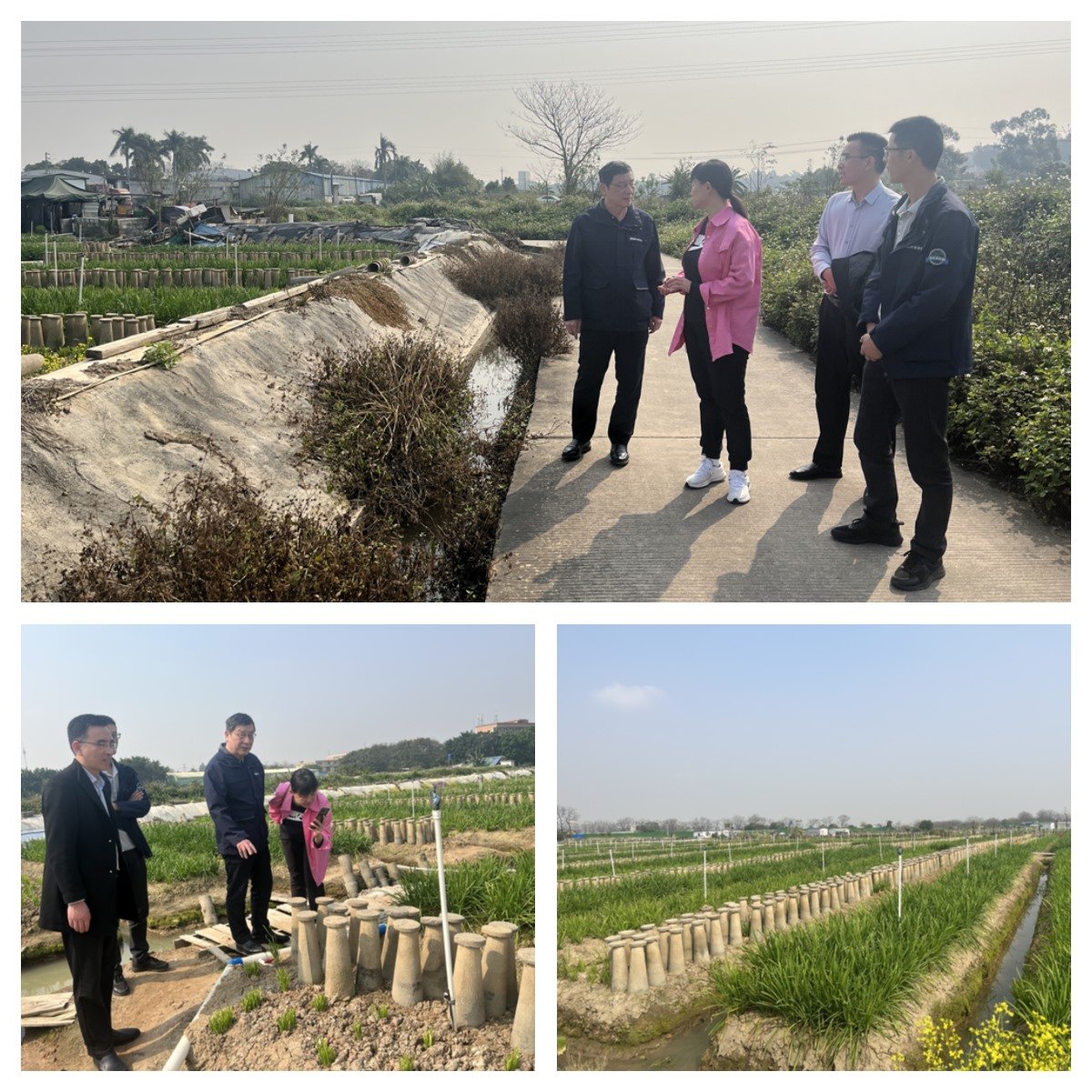 F88星宝(中国集团)官方网站