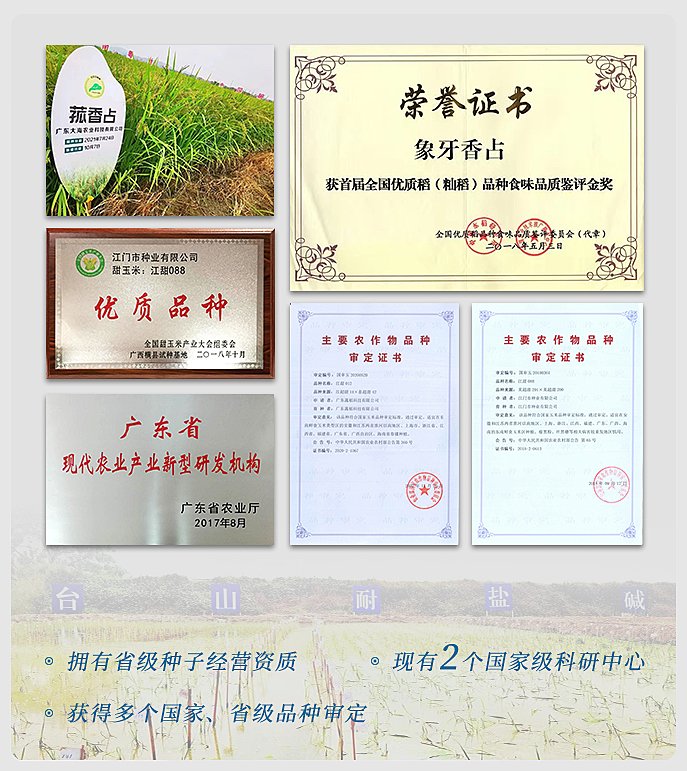 F88星宝(中国集团)官方网站