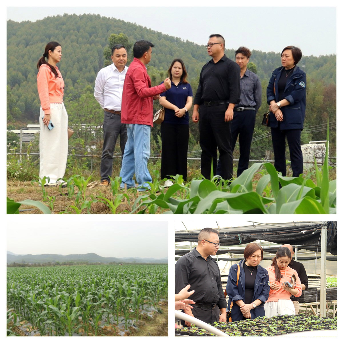 F88星宝(中国集团)官方网站