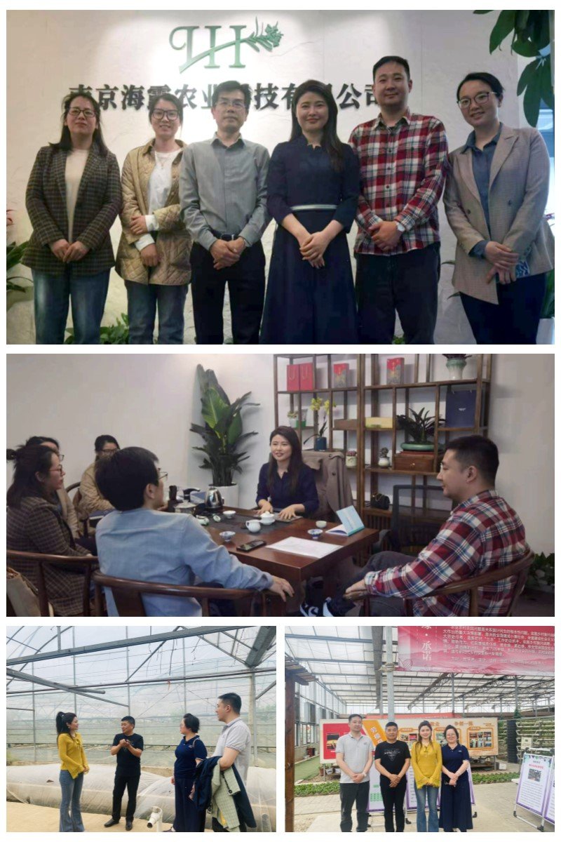 F88星宝(中国集团)官方网站