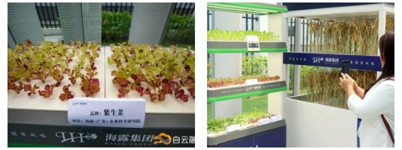 F88星宝(中国集团)官方网站