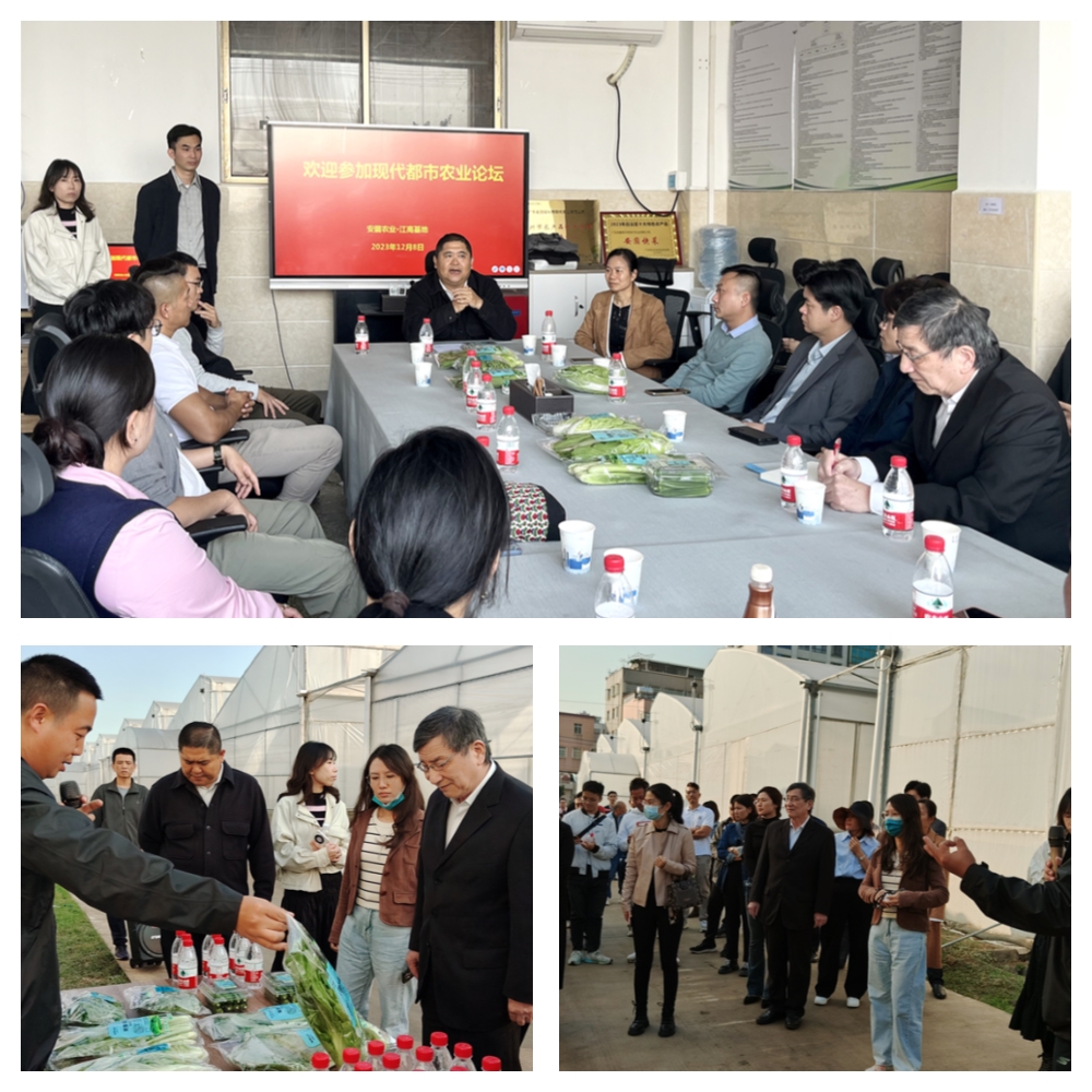 F88星宝(中国集团)官方网站