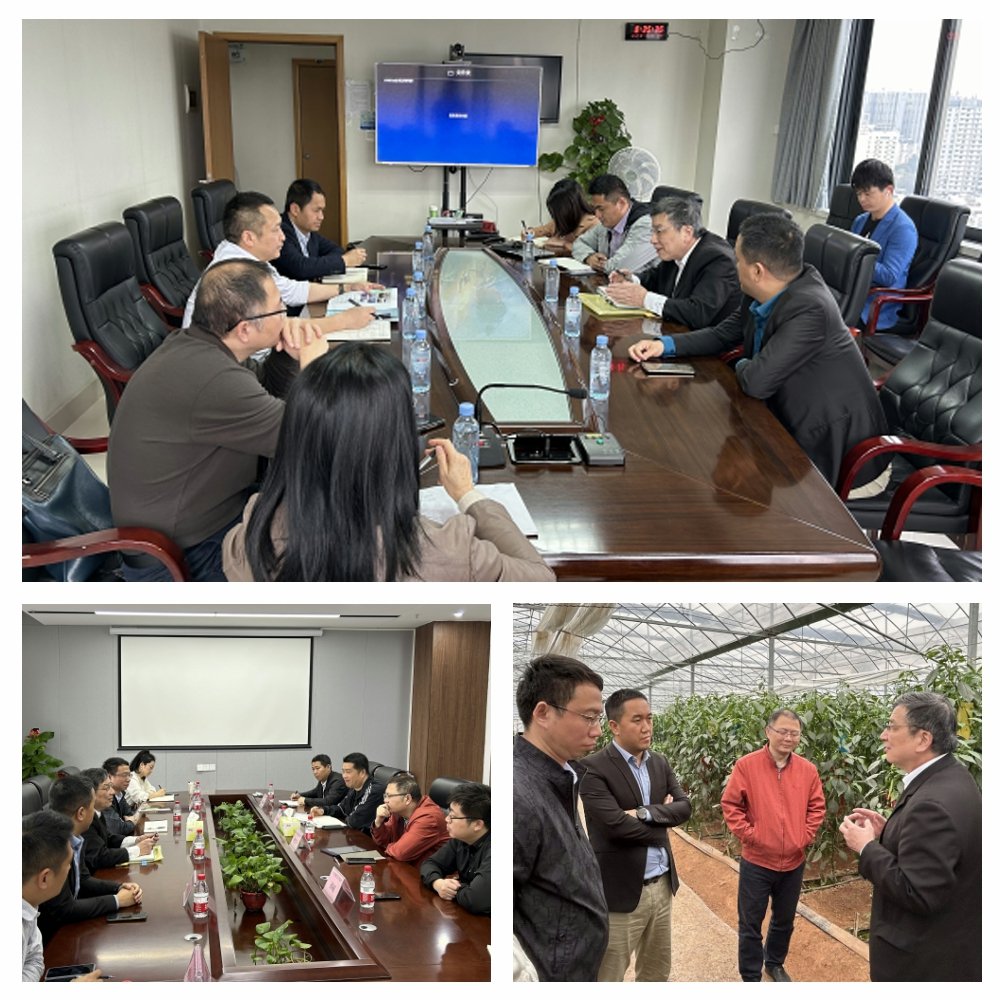 F88星宝(中国集团)官方网站