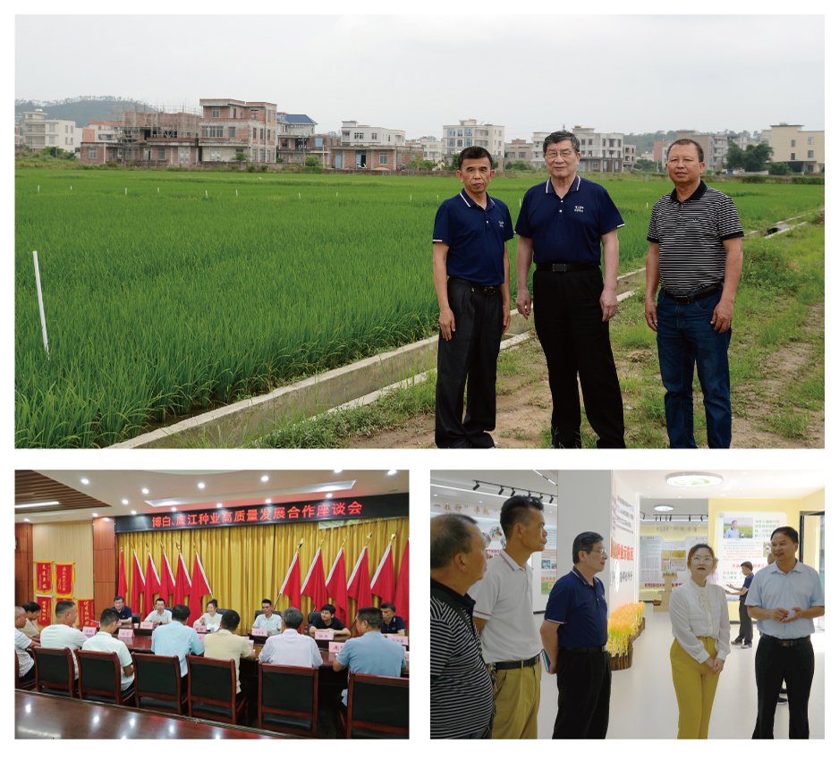 F88星宝(中国集团)官方网站