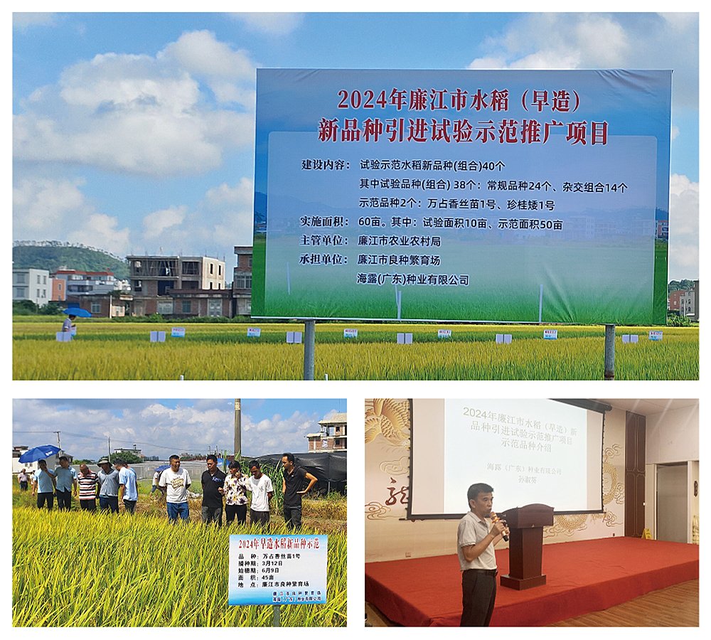 F88星宝(中国集团)官方网站