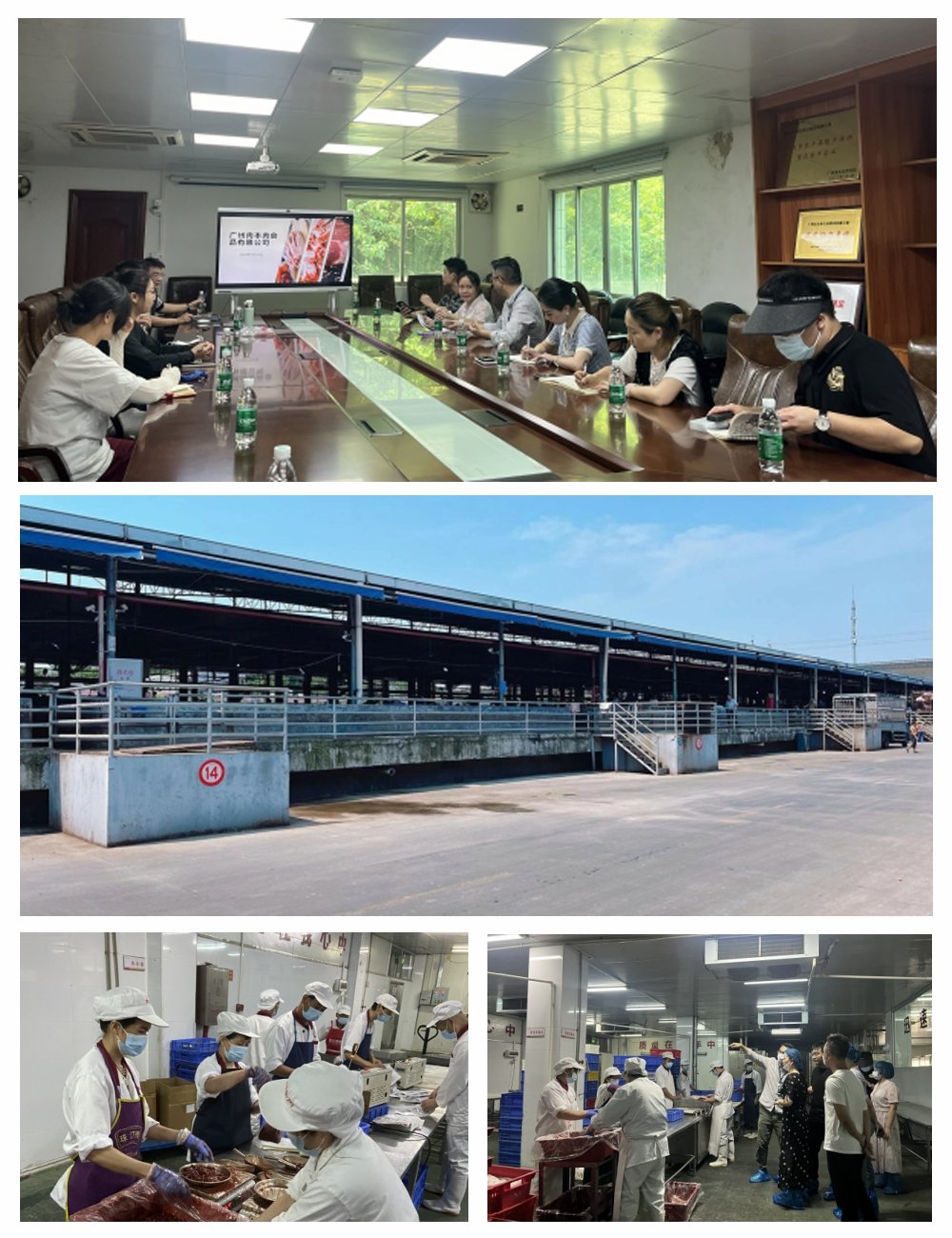 F88星宝(中国集团)官方网站