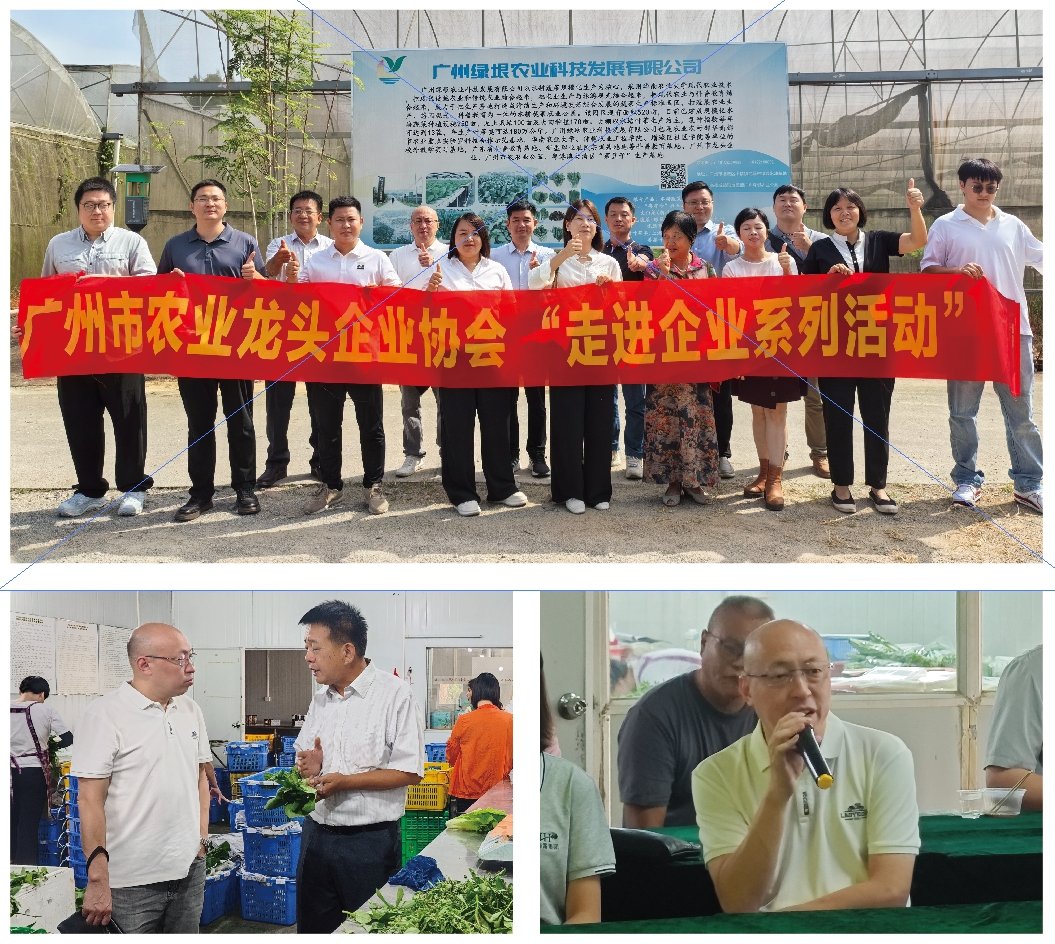 F88星宝(中国集团)官方网站