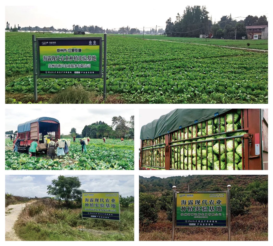 F88星宝(中国集团)官方网站