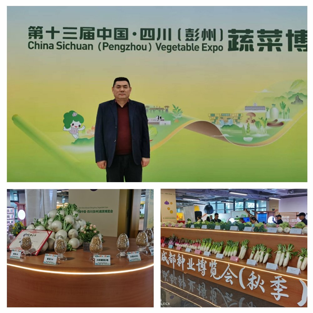 F88星宝(中国集团)官方网站