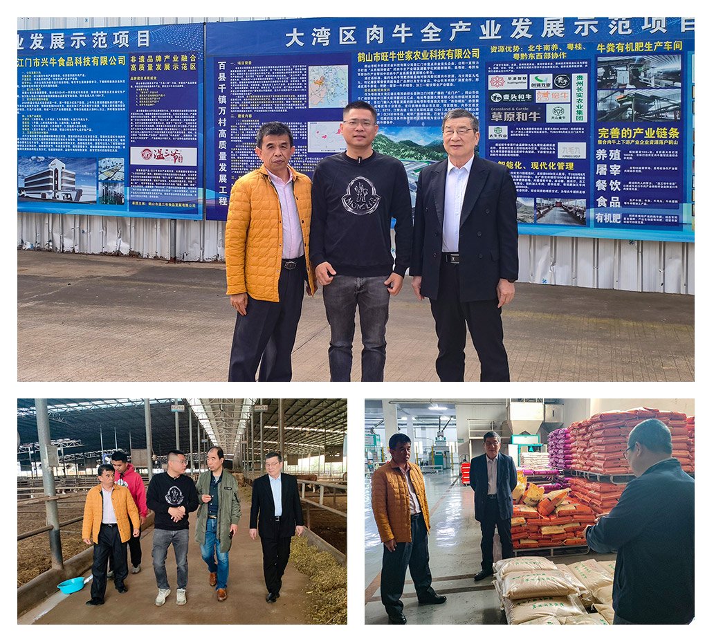 F88星宝(中国集团)官方网站