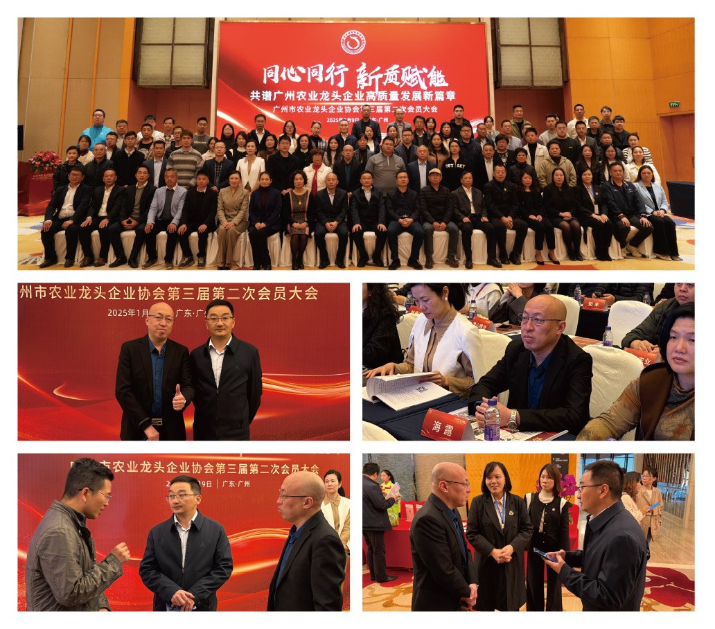 F88星宝(中国集团)官方网站