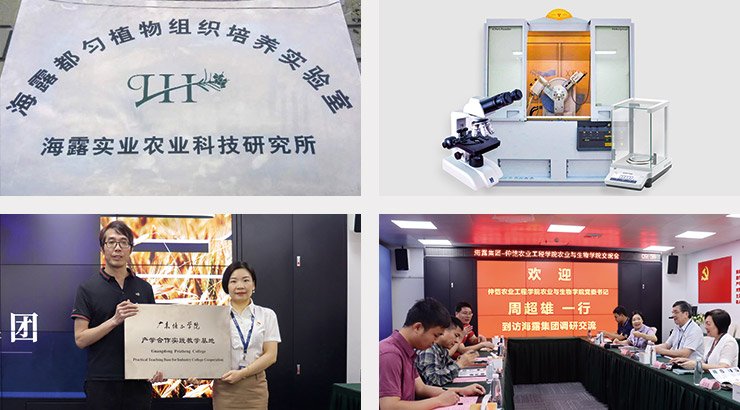 F88星宝(中国集团)官方网站