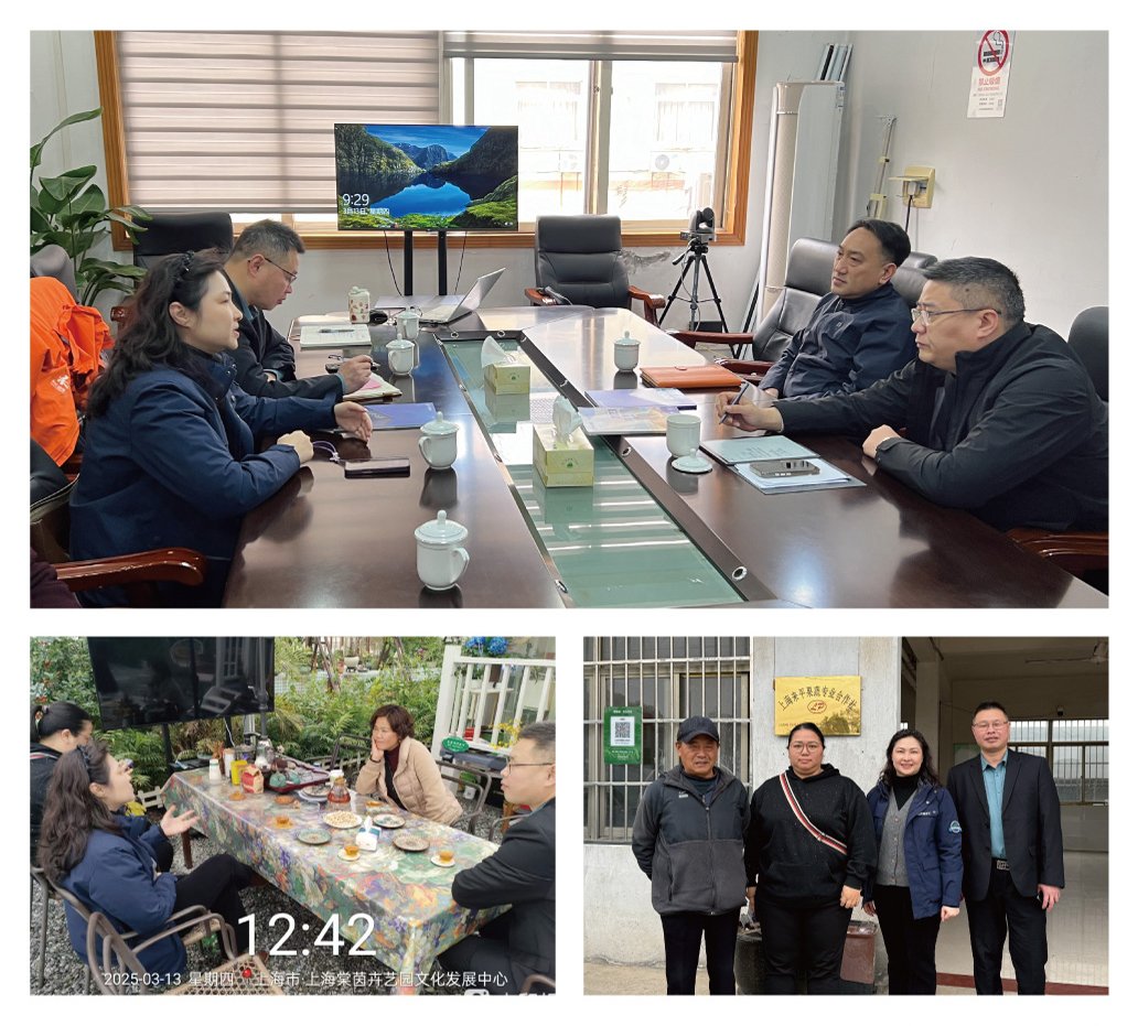 F88星宝(中国集团)官方网站