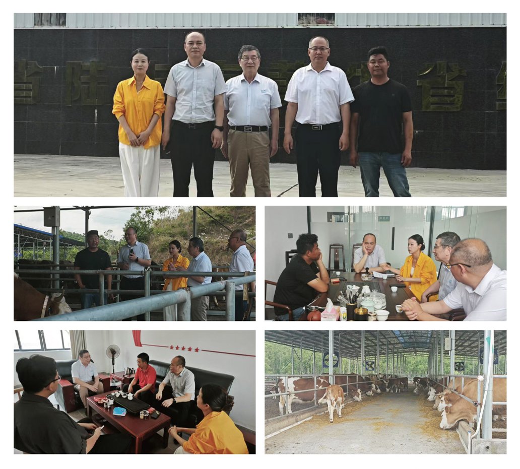 F88星宝(中国集团)官方网站