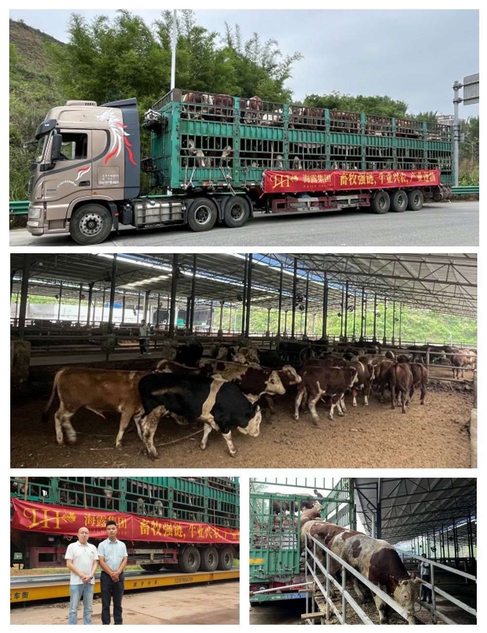 F88星宝(中国集团)官方网站