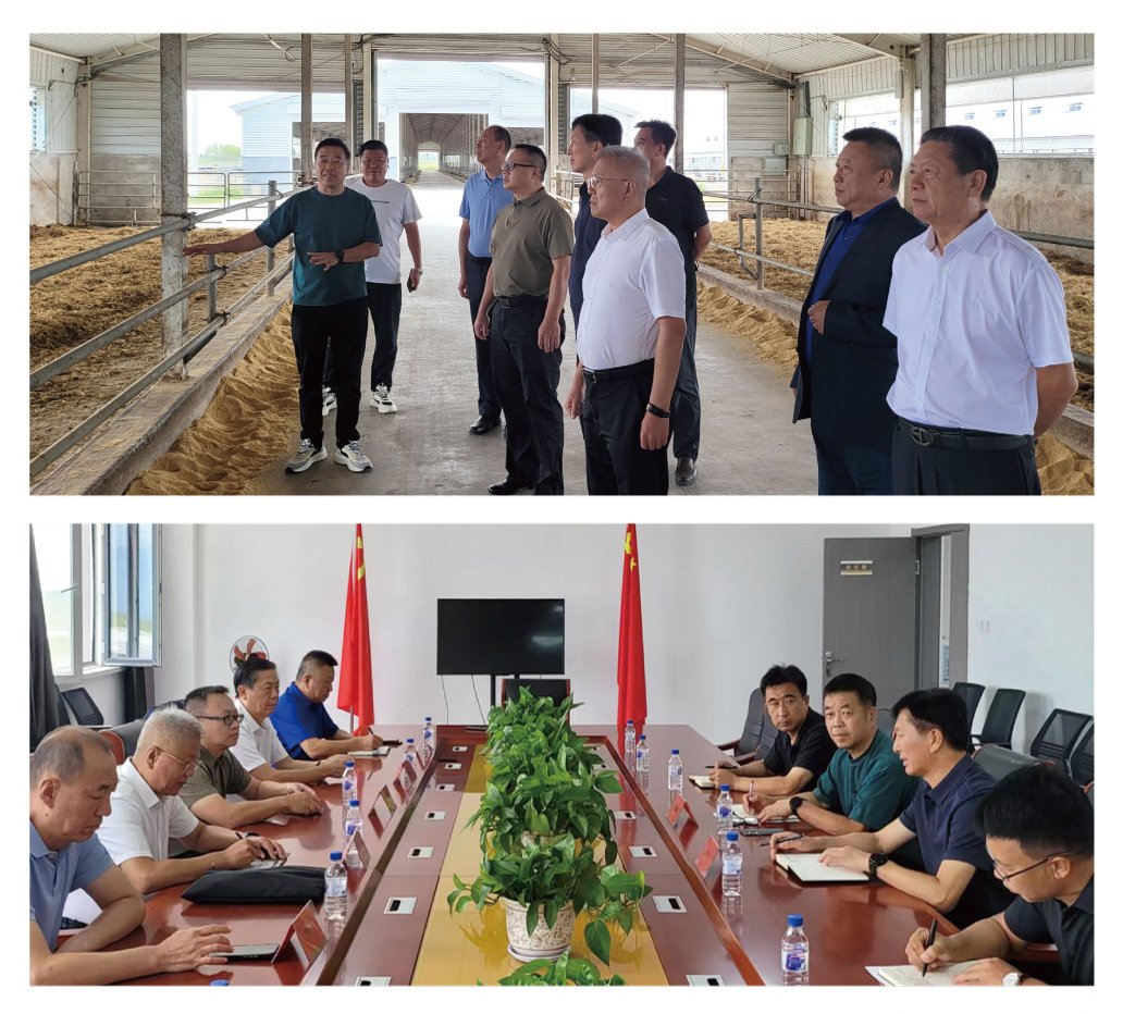 F88星宝(中国集团)官方网站