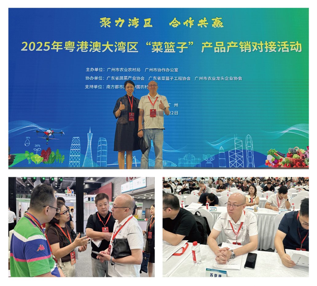 F88星宝(中国集团)官方网站