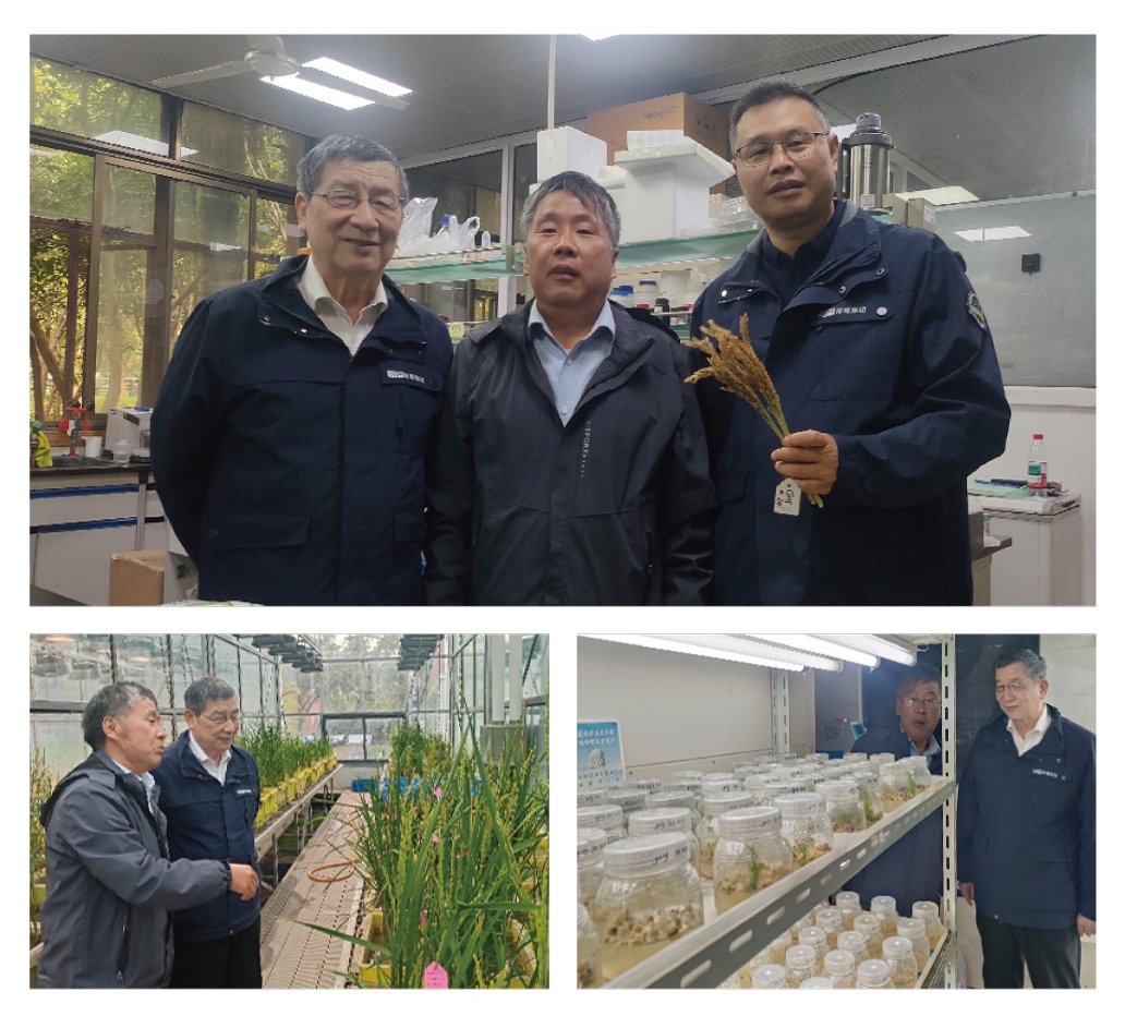 F88星宝(中国集团)官方网站